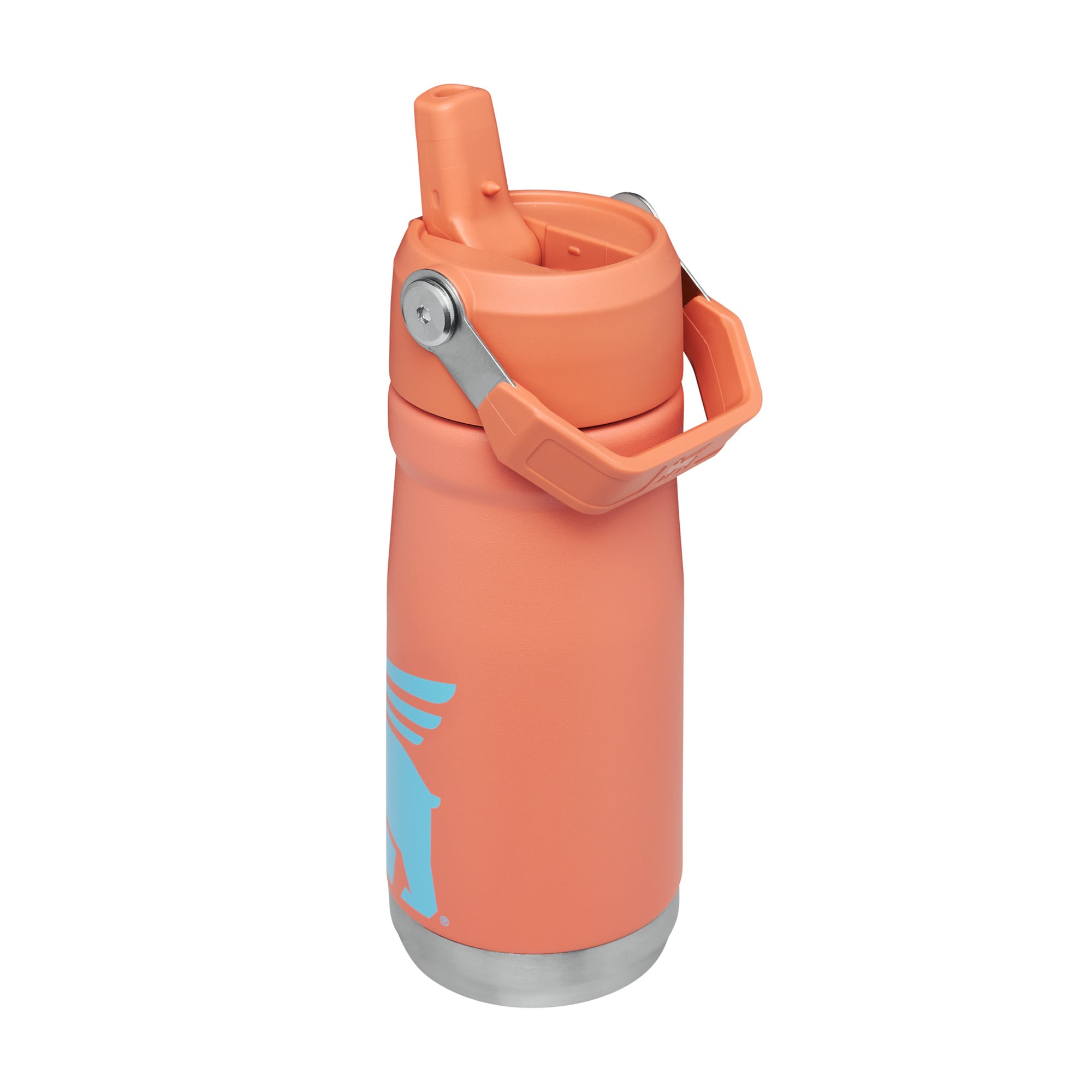 Grapefruit_flipstraw220231115-4704-dteoo3_fbc7b8e5-2313-4cf3-88f7-3eca2514ade4.jpg