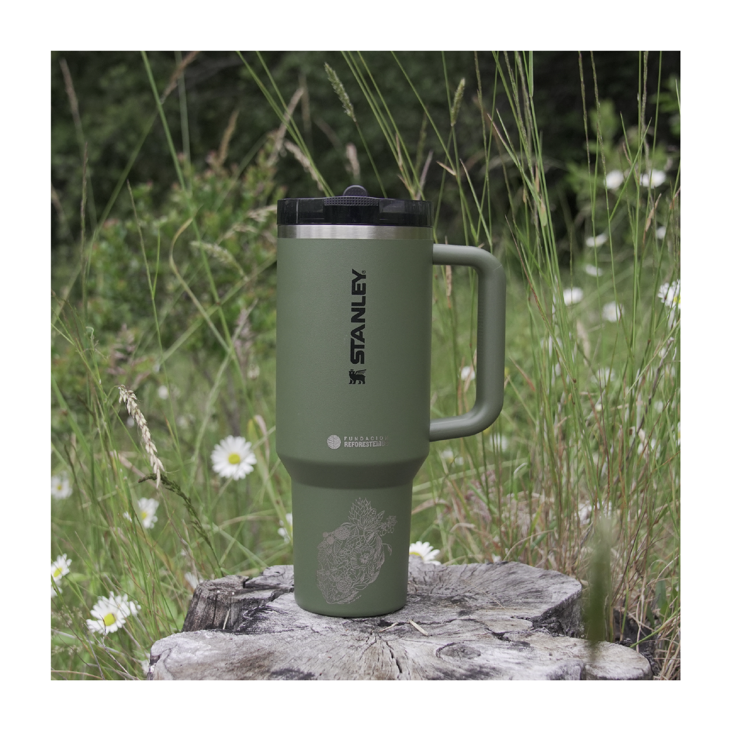 Reforestemos Quencher Protour 1.18 LT Dried Pine