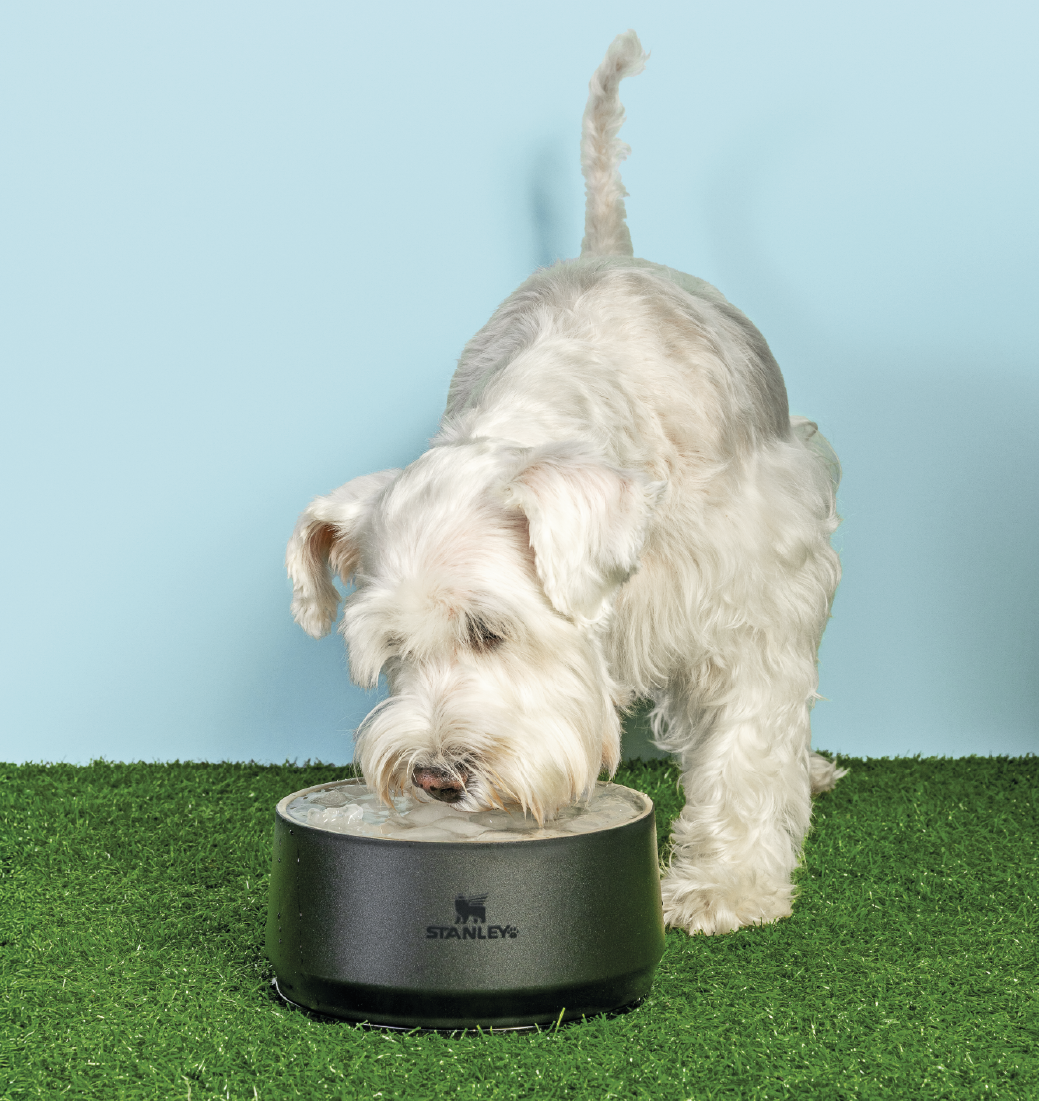 Web_Petbowl-05_1.png