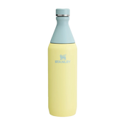 Botella Térmica All Day Slim Pomelo | 591 ml
