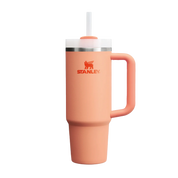 Quencher H2.0 Adventure Nectarine | 887 ml