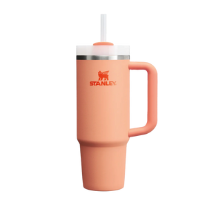 Quencher H2.0 Adventure Nectarine | 887 ml